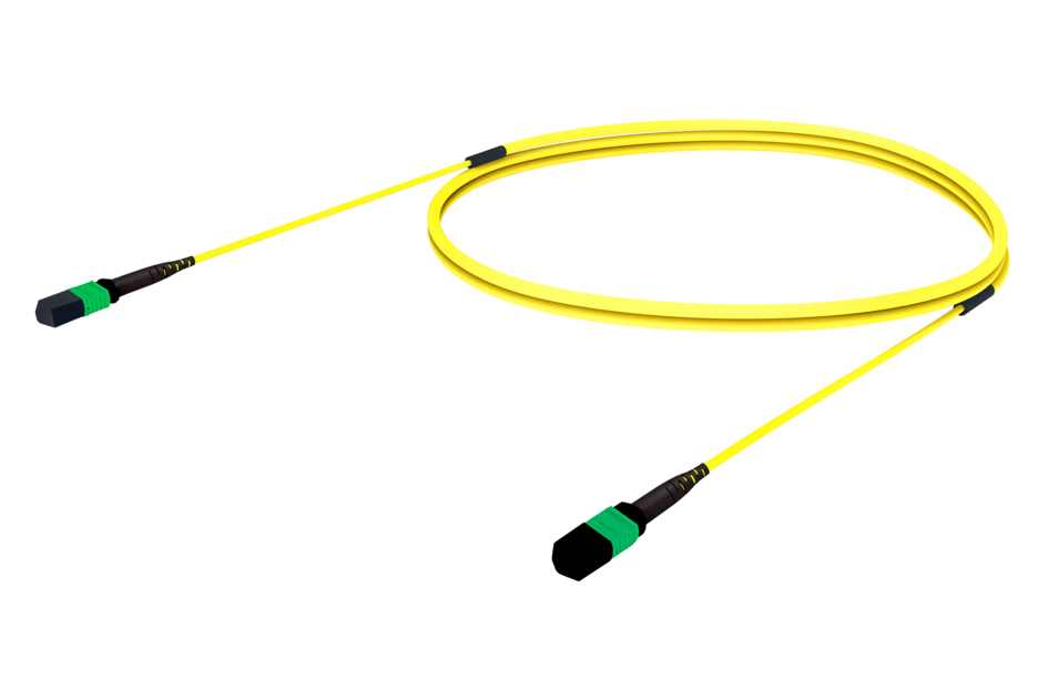 CORD INSPAT LSZH 12FO TERA 100F(30M